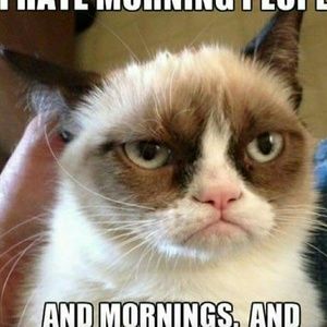 Meet your Posher, Afomia