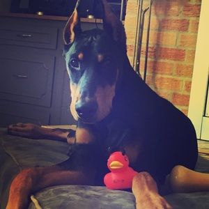 Meet your Posher, Heather