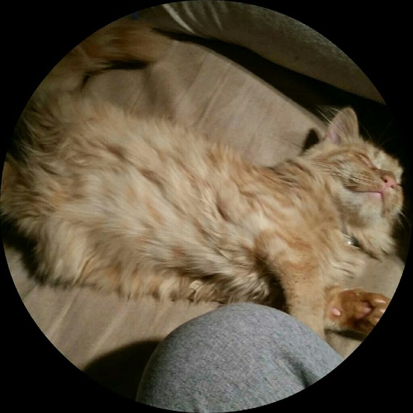 Meet your Posher, Calley - Picture 1 of 1