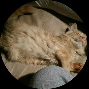 Meet your Posher, Calley