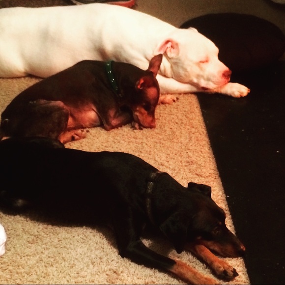 Meet your Posher, Andrea - Picture 2 of 9