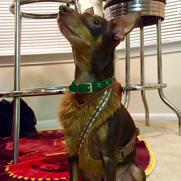 Meet your Posher, Andrea - Picture 3 of 9