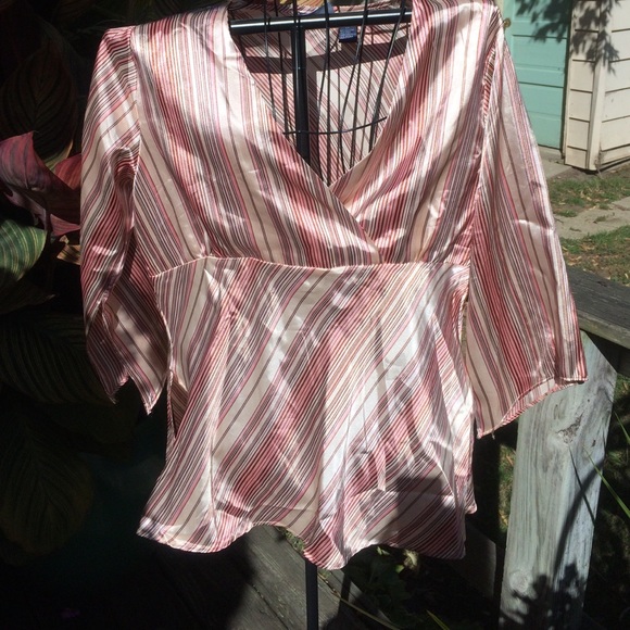 Pink/ Brown Striped Top 2X