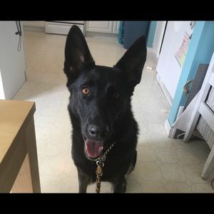 Meet your Posher, Audrey