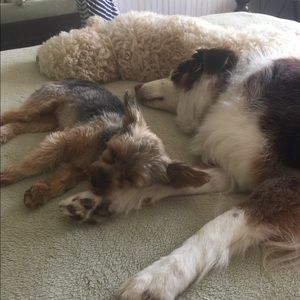 Meet your Posher, Anne