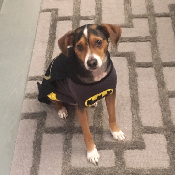 Meet your Posher, Paulina - Picture 5 of 9