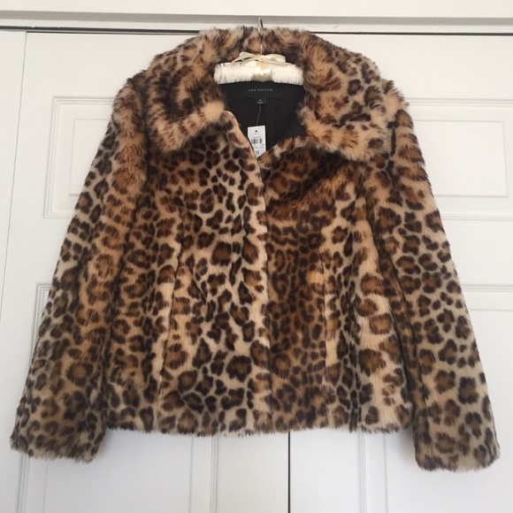 Ann Taylor Jackets & Blazers - NWOT Beautiful Ann Taylor Jacket
