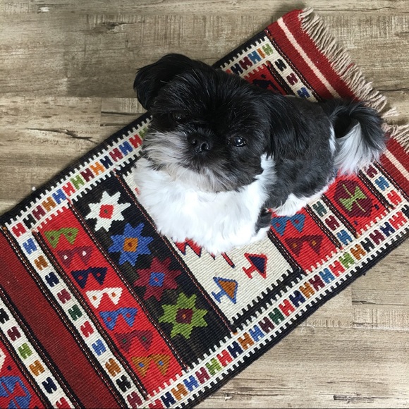 Meet your Posher, Mindy - Picture 4 of 8