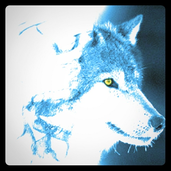 Meet your Posher, Brandon - Picture 1 of 1