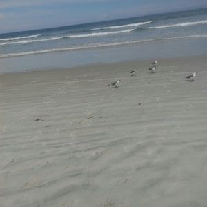 Meet your Posher, Dannielle