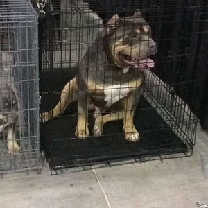 Meet your Posher, Norberto