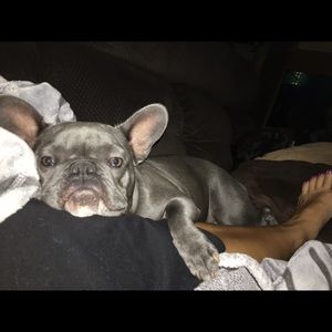 Meet your Posher, Dawn