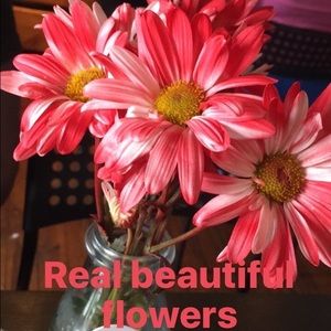 Meet your Posher, Veronica