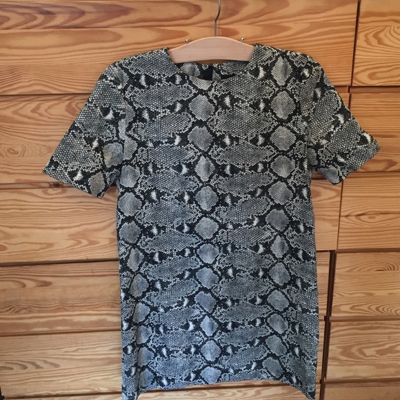 Zara dress