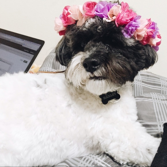 Eric & Bri - Picture 2 of 4