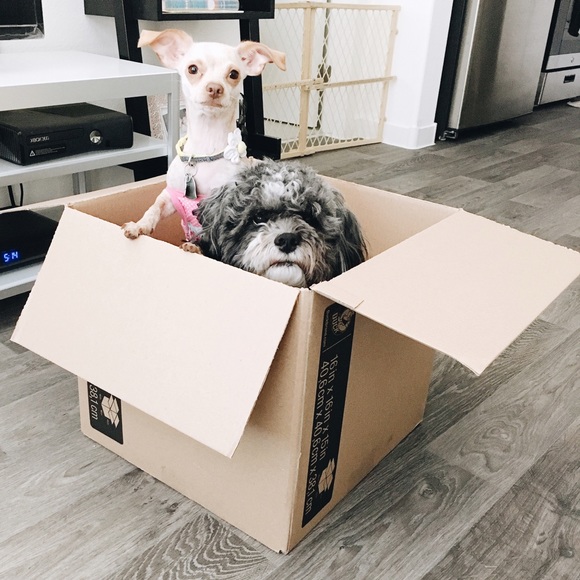 Eric & Bri - Picture 3 of 4