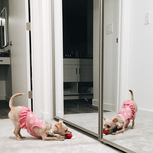 Eric & Bri - Picture 4 of 4