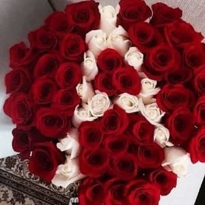 Meet your Posher, Arce