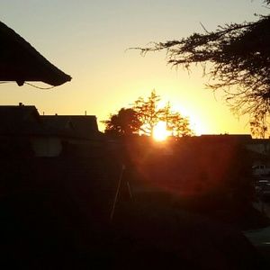 Meet your Posher, Joly