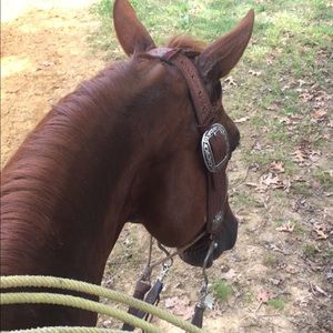 Meet your Posher, Millie