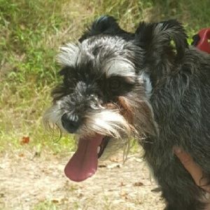 Meet your Posher, Sharon