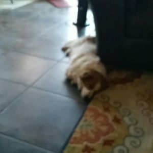 Meet your Posher, Natalie