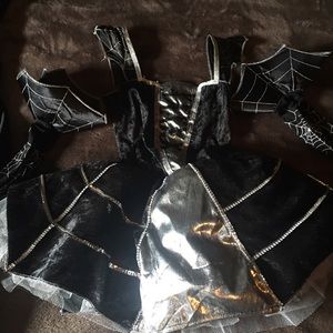 Spider Girl Costume