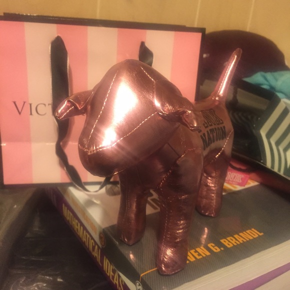 PINK Dog