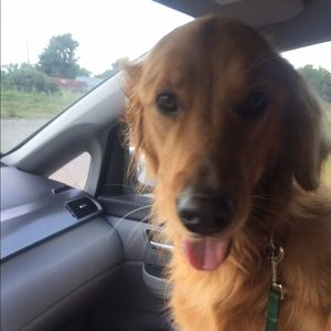 Meet your Posher, Tammy