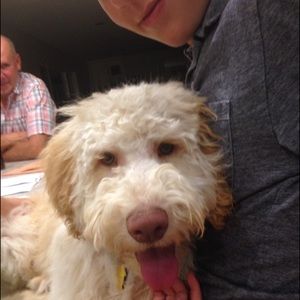 Meet your Posher, Joelle