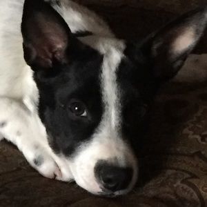 Meet your Posher, Jan