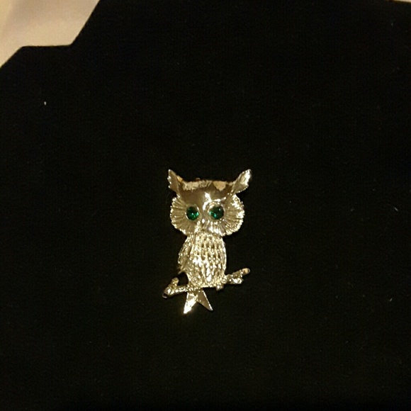 Pretty Owl