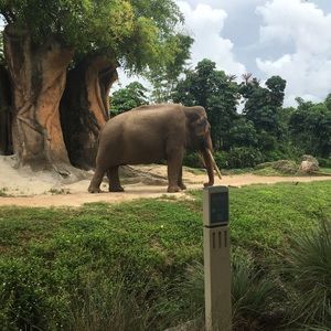 Meet your Posher, Jenny