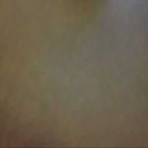 Meet your Posher, Labrea