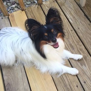 Meet your Posher, Amy