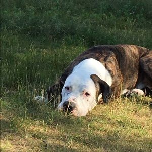 Meet your Posher, Tanya