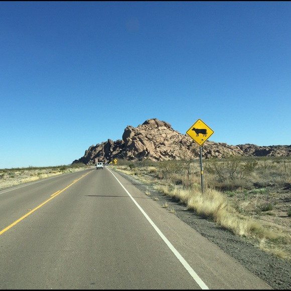 Meet your Posher, Nat - Picture 3 of 4