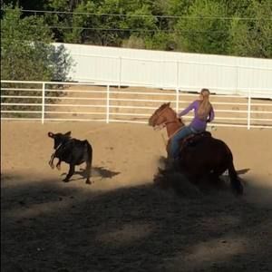 Meet your Posher, Cami