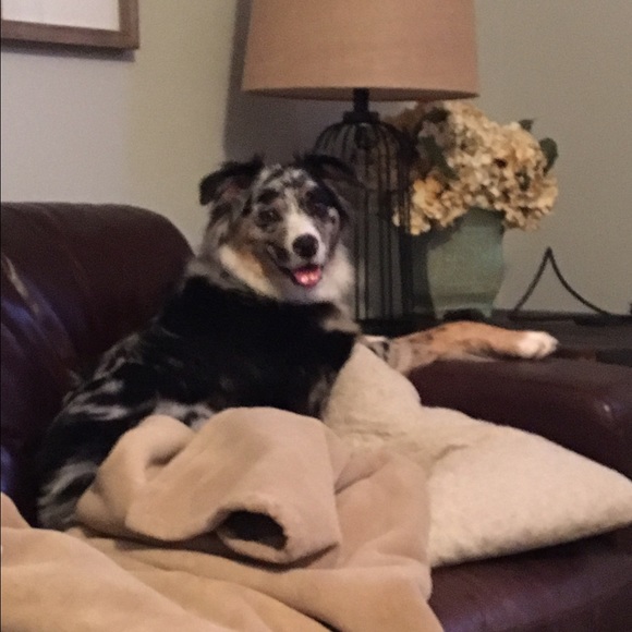 Meet your Posher, Afton - Picture 1 of 1