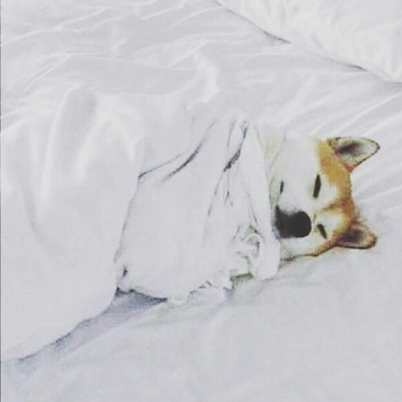 Meet your Posher, Sarina - Picture 1 of 1