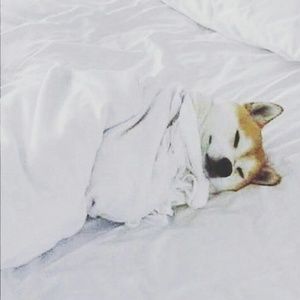 Meet your Posher, Sarina