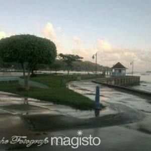 Meet your Posher, Kinko