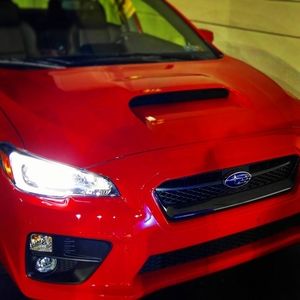 Meet your Posher, Casey