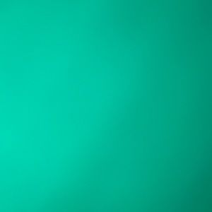 Meet your Posher, Whitney