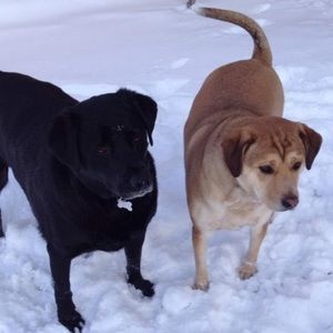 Meet your Posher, Chrissy