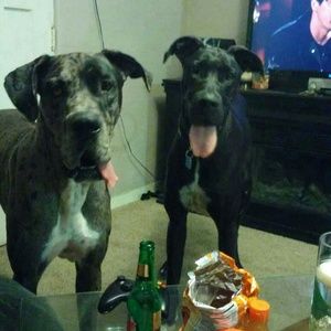 Meet your Posher, Stacey