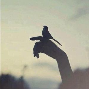 Meet your Posher, Fatima