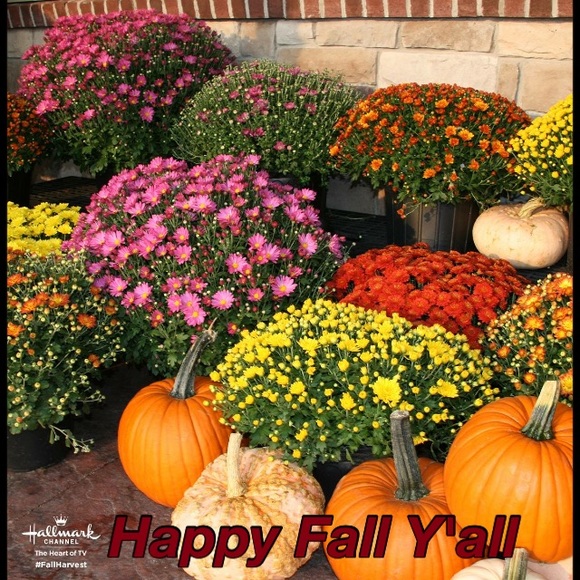 Fall