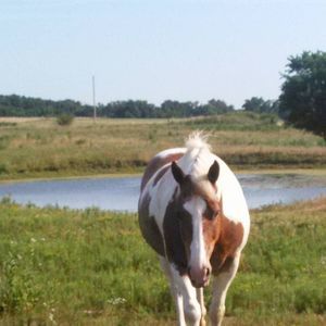 Meet your Posher, Alisa