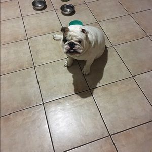 Meet your Posher, Jazmin